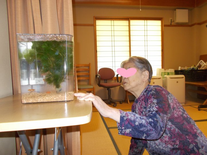 DSCN9969