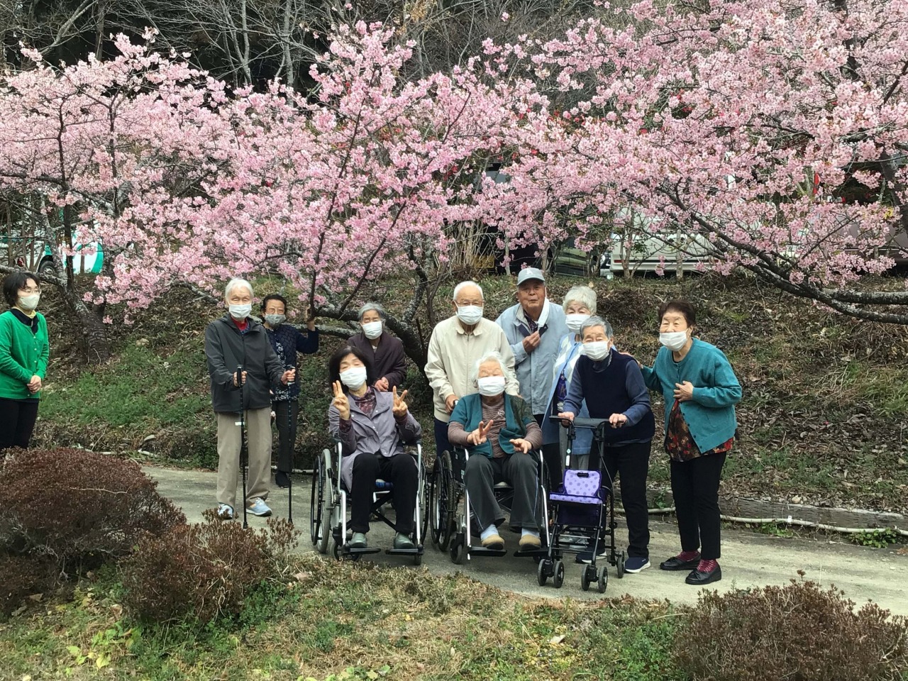 歩行訓練でお花見