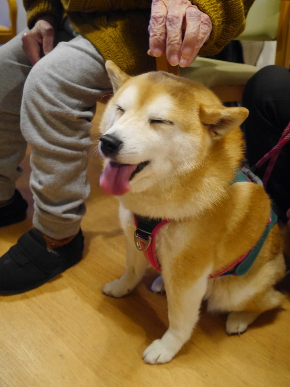 ☆かがやき東☆アニマルセラピー