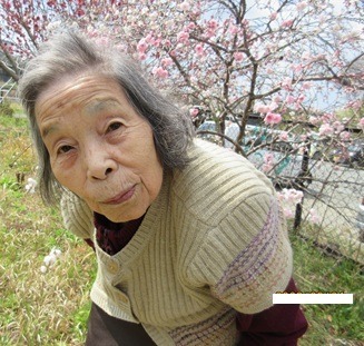 泉館日記◎花みずき泉館◎