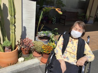 野の花～☼一緒にお散歩☼～