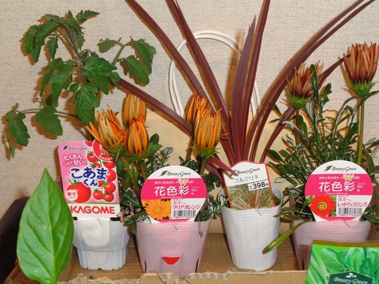 苗植え☆花みずき幸館☆