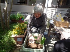 野菜を植えたよ☆花みずき　幸館☆