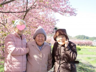 お花見◎花みずき泉館◎