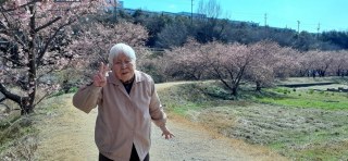 河津桜◎花みずき泉館◎