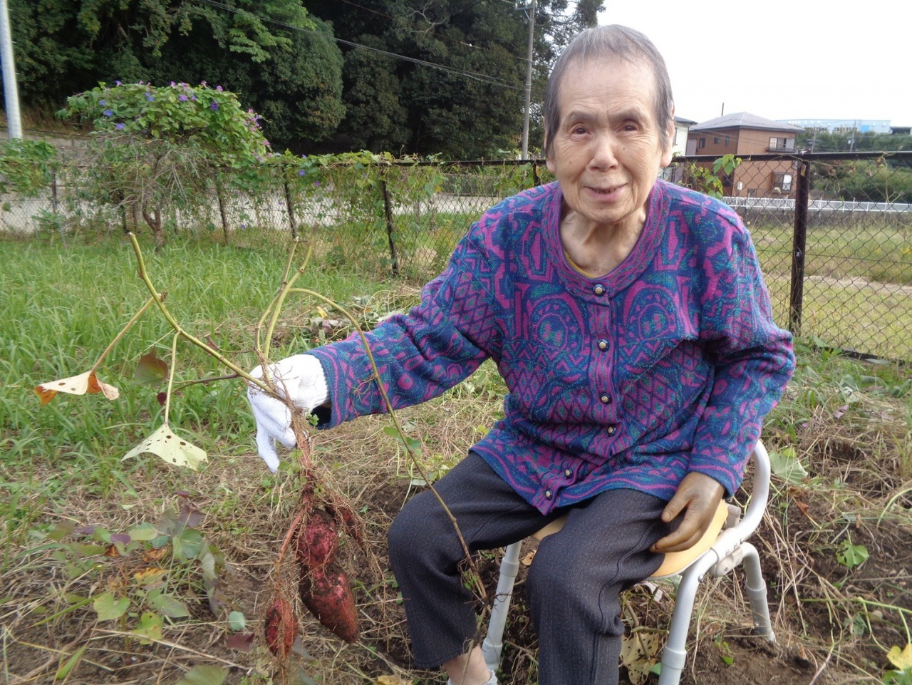 さつま芋掘り☆花みずき幸館☆