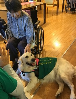 アニマルセラピー～きらめき西～