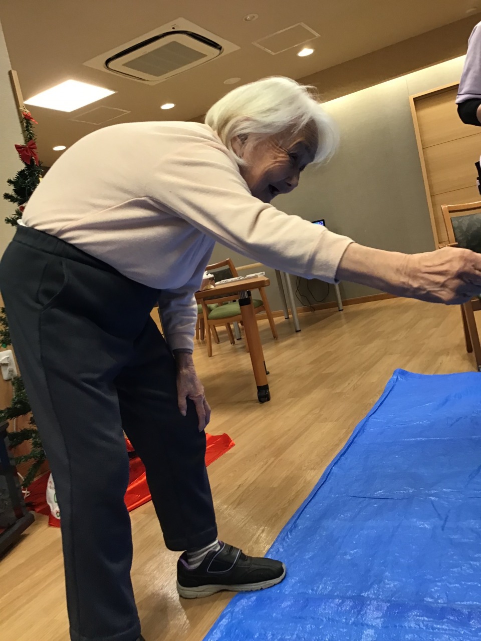 野の花～魚釣りゲーム～