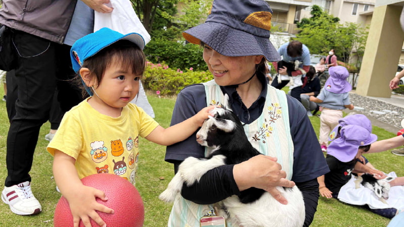 ヤギの飼育